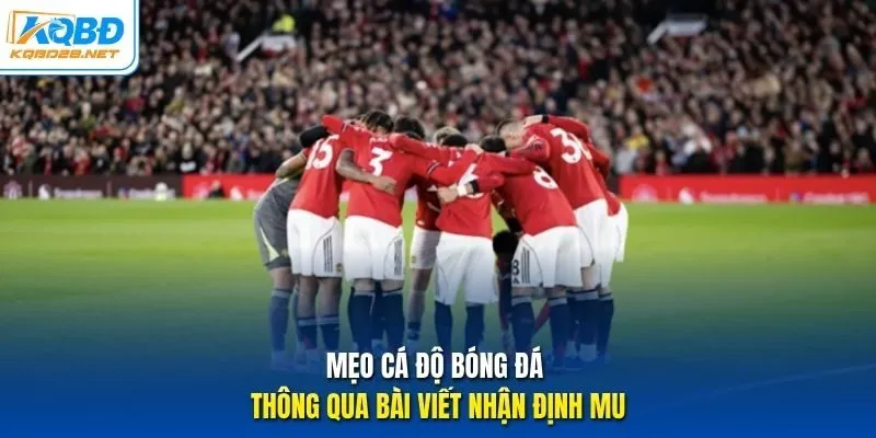 Mẹo cá độ bóng đá thông qua bài viết nhận định MU
